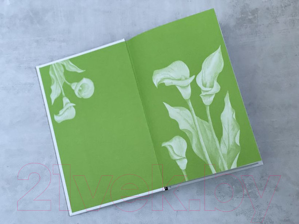 Изображение товара Книга Эксмо Украденное счастье (Рой О.)