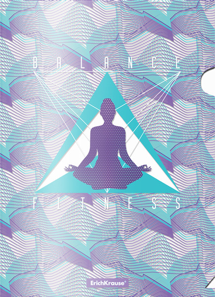 Изображение товара Набор папок Erich Krause Meditation / 55104 (4шт, ассорти)