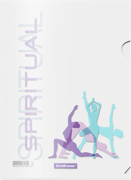 Изображение товара Набор папок Erich Krause Meditation / 55104 (4шт, ассорти)