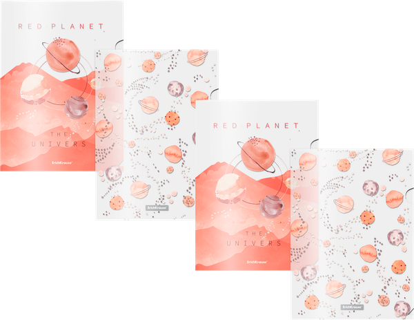 Изображение товара Набор папок Erich Krause Martian Girl / 55103 (4шт, ассорти)