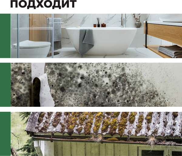 Изображение товара Пропитка для фасадов и стен Prosept Fungi Stop против плесени 1:10 (1л)