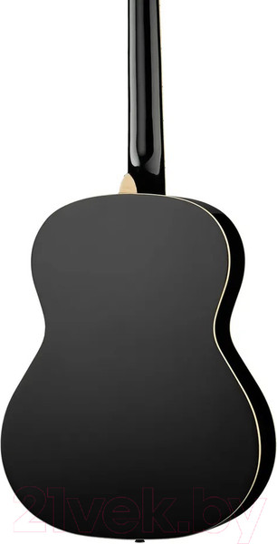 Изображение товара Акустическая гитара Naranda CAG280BK