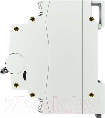 Изображение товара Выключатель автоматический EKF 2P 8А (D) 4,5kA ВА 47-63 / mcb4763-2-08D-pro