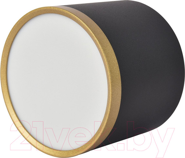 Изображение товара Потолочный светильник FAVOURITE 3081-2C