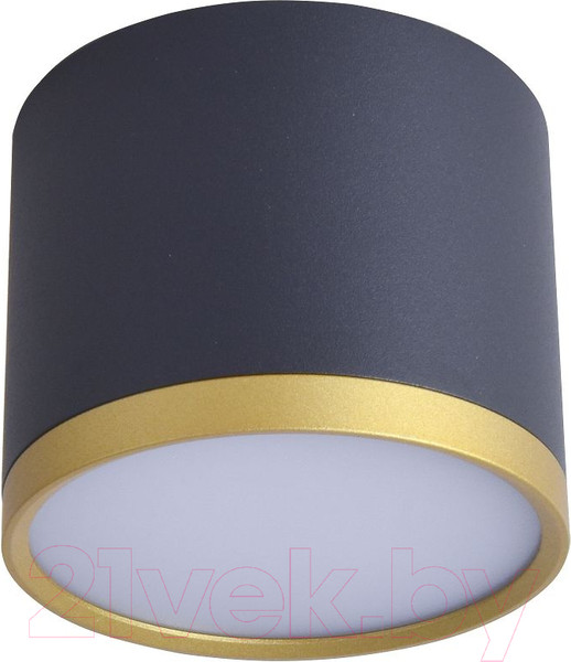 Изображение товара Потолочный светильник FAVOURITE 3081-2C