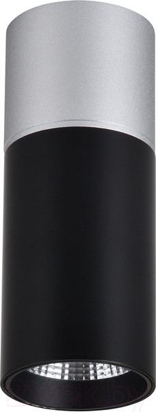 Изображение товара Потолочный светильник FAVOURITE 3072-1C