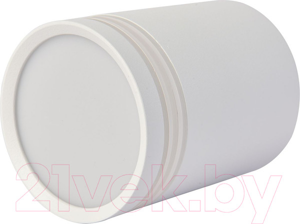 Изображение товара Потолочный светильник FAVOURITE 3065-1C