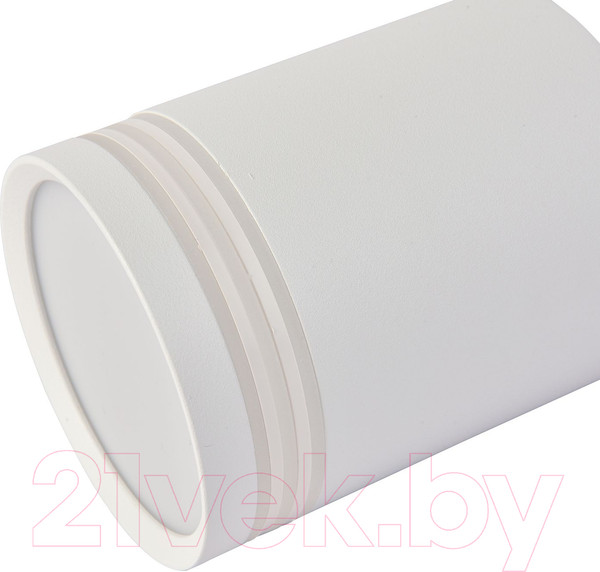 Изображение товара Потолочный светильник FAVOURITE 3065-1C