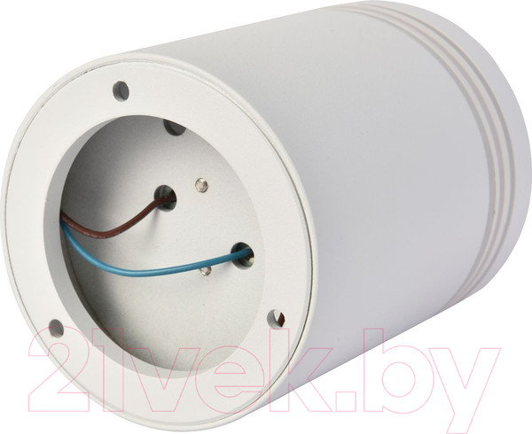 Изображение товара Потолочный светильник FAVOURITE 3065-1C