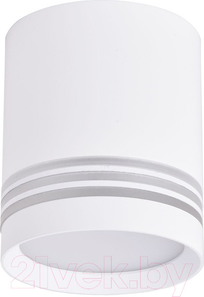 Изображение товара Потолочный светильник FAVOURITE 3065-1C