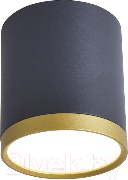 Изображение товара Потолочный светильник FAVOURITE 3081-1C