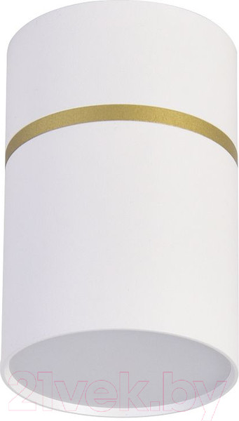 Изображение товара Потолочный светильник FAVOURITE 3067-1C