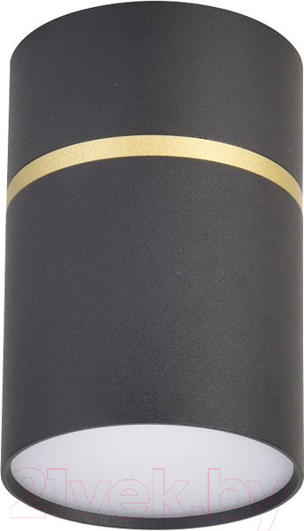 Изображение товара Потолочный светильник FAVOURITE 3068-1C