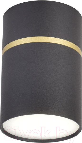 Изображение товара Потолочный светильник FAVOURITE 3068-1C