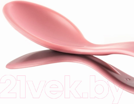 Изображение товара Набор столовых ложек для кормления Reer BabySpoon с длинной ручкой / 23022 (5шт)