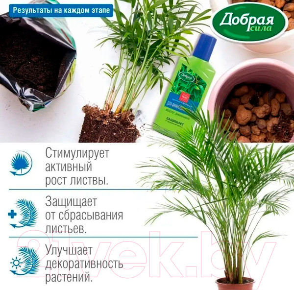 Изображение товара Удобрение Добрая сила Для фикусов и пальм / DS21010161 (250мл)