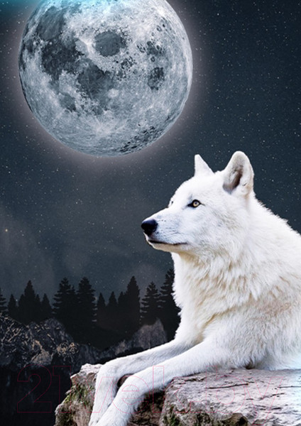 Изображение товара Набор алмазной вышивки Школа талантов Волк / 7476789