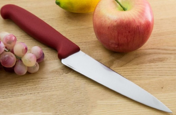 Изображение товара Нож Victorinox 5.2001.15