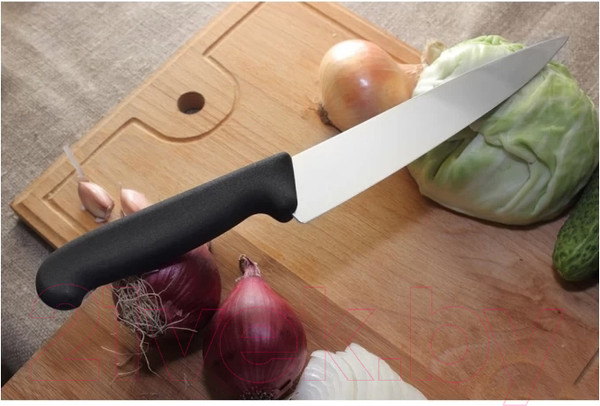 Изображение товара Нож Victorinox 5.2003.19