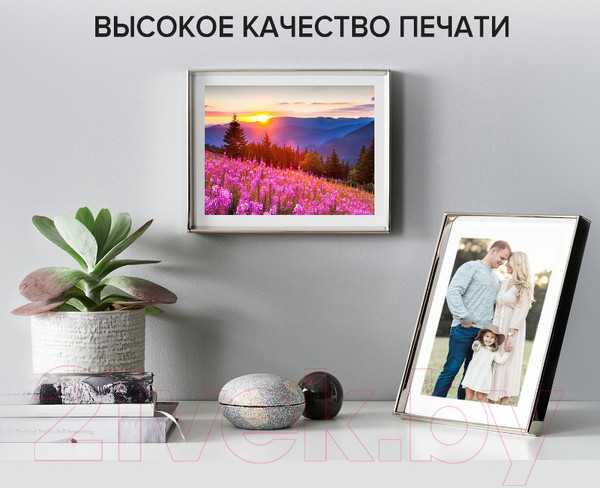 Изображение товара Фотобумага Brauberg Original 230 г/м2 / 363975 (500л, матовый)