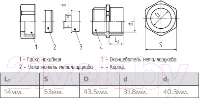Изображение товара Муфта Fortisflex СТМ(Р)-32(1+1/4) / 61412