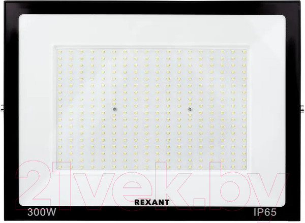Изображение товара Прожектор Rexant LED 6500 K / 605-030