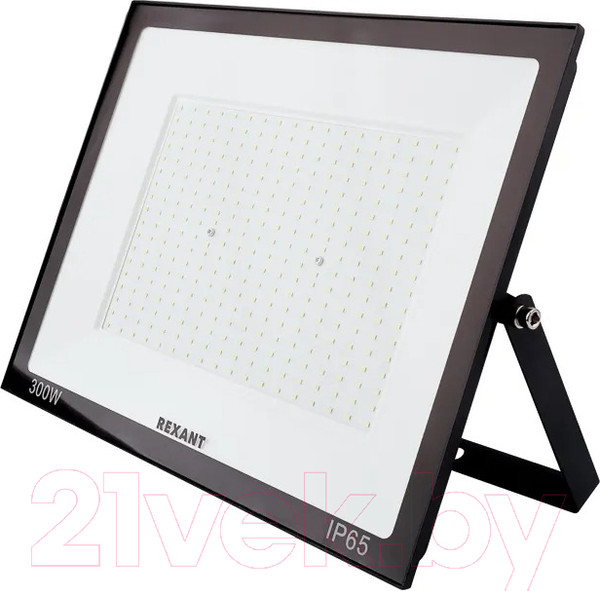 Изображение товара Прожектор Rexant LED 6500 K / 605-030