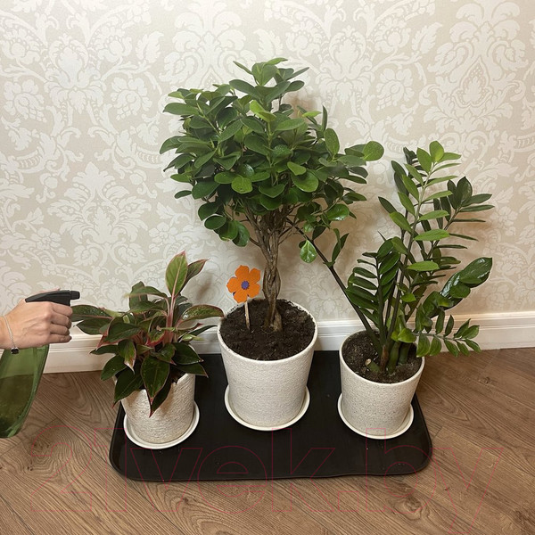 Изображение товара Поддон для обуви Мультидом ПТ72-50