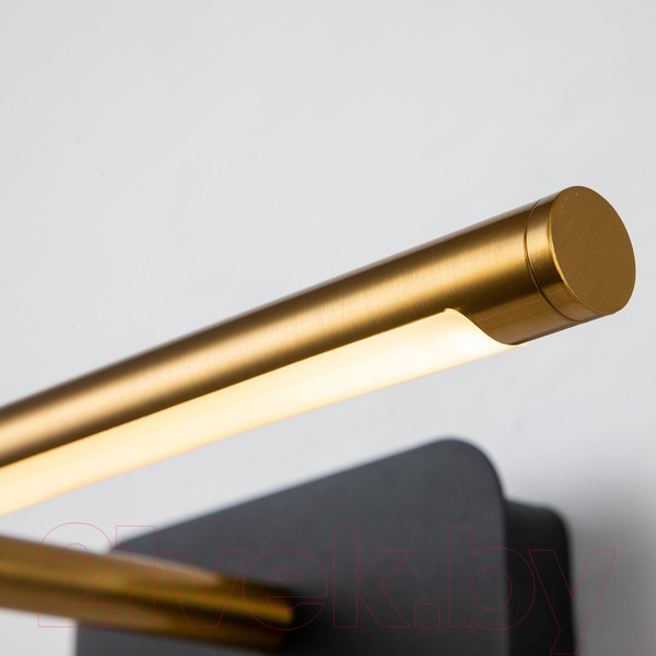 Изображение товара Подсветка для картин и зеркал FAVOURITE 4016-1W