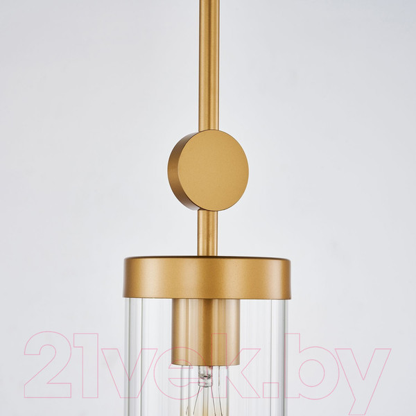 Изображение товара Потолочный светильник FAVOURITE 3099-1P