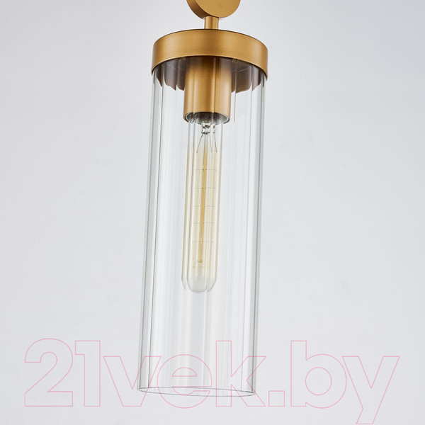 Изображение товара Потолочный светильник FAVOURITE 3099-1P