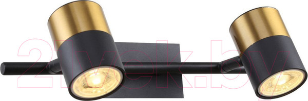 Изображение товара Спот FAVOURITE 3092-2W