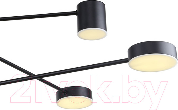 Изображение товара Люстра FAVOURITE 3094-6P