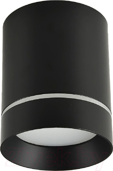 Изображение товара Потолочный светильник FAVOURITE 3063-1C