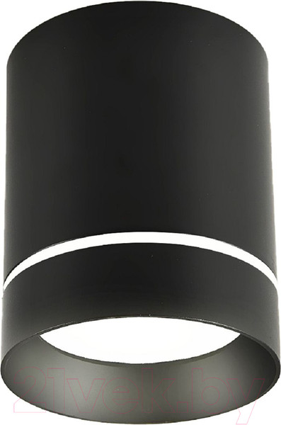 Изображение товара Потолочный светильник FAVOURITE 3063-1C