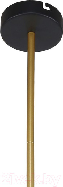 Изображение товара Люстра FAVOURITE 3089-8P