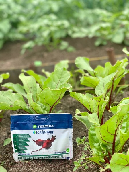 Изображение товара Удобрение Fertika Leaf Power для зеленых и корнеплодных культур (50г)