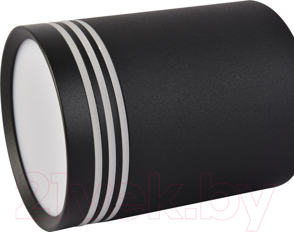 Изображение товара Потолочный светильник FAVOURITE 3066-1C