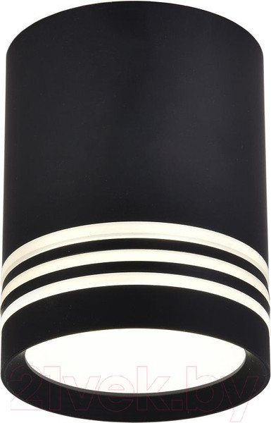 Изображение товара Потолочный светильник FAVOURITE 3066-1C