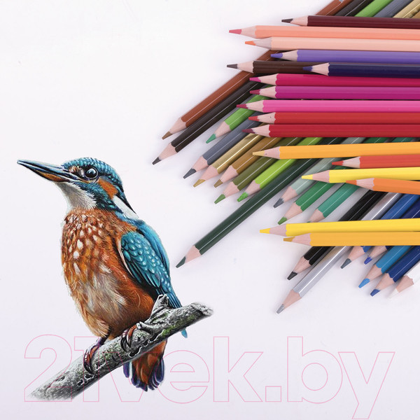 Изображение товара Набор цветных карандашей Юнландия Домики / 181839 (36цв)