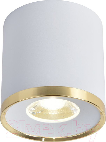 Изображение товара Потолочный светильник FAVOURITE 3085-2C