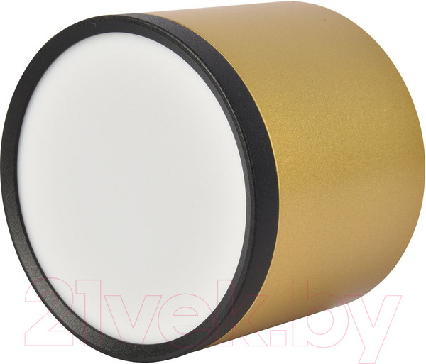 Изображение товара Потолочный светильник FAVOURITE 3082-2C