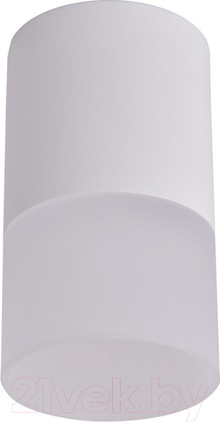 Изображение товара Потолочный светильник FAVOURITE 3069-1C