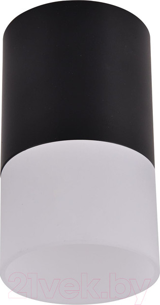 Изображение товара Потолочный светильник FAVOURITE 3070-1C