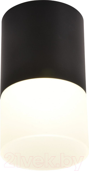 Изображение товара Потолочный светильник FAVOURITE 3070-1C