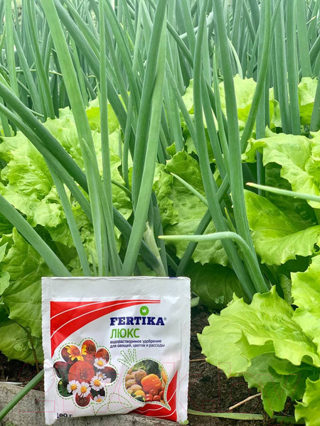 Изображение товара Удобрение Fertika Люкс (100г)