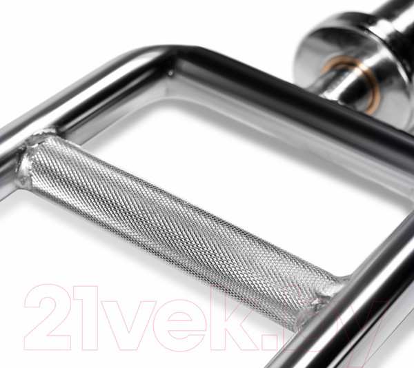 Изображение товара Гриф для штанги Bronze Gym BGBRP06