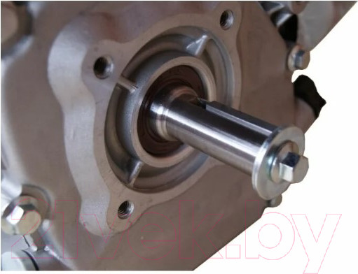 Изображение товара Двигатель бензиновый Lifan 168F-2 D20