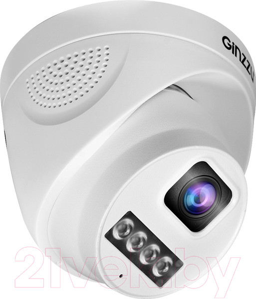 Изображение товара IP-камера Ginzzu HID-4301A
