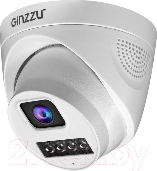 Изображение товара IP-камера Ginzzu HID-4301A
